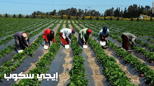 التدهور الإقتصادي لقارة إفريقيا