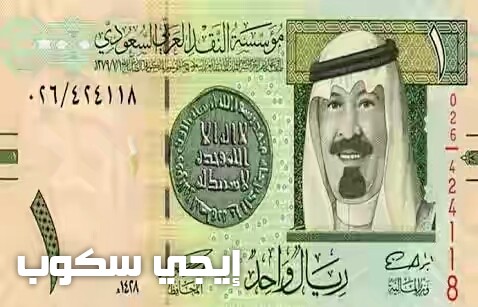 سعر الريال السعودى