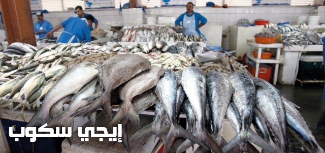 انخفاض أسعار الأسماك