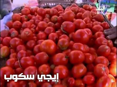 أسعار الخضروات والطماطم اليوم
