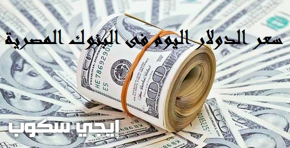 سعر الدولار اليوم فى مصر