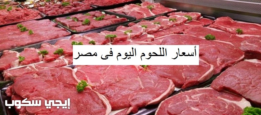 أسعار اللحوم اليوم فى مصر