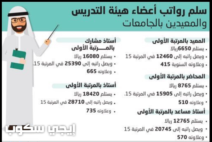 الجامعة في راتب المعيد سلم رواتب