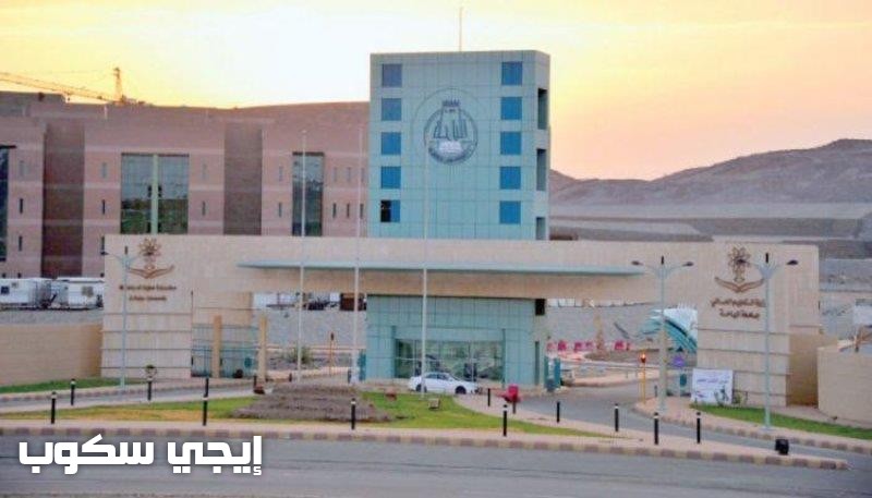 موقع جامعة الباحة تسجيل الدخول : تسجيل الجداول الدراسية واسم المستخدم لجامعة الباحة