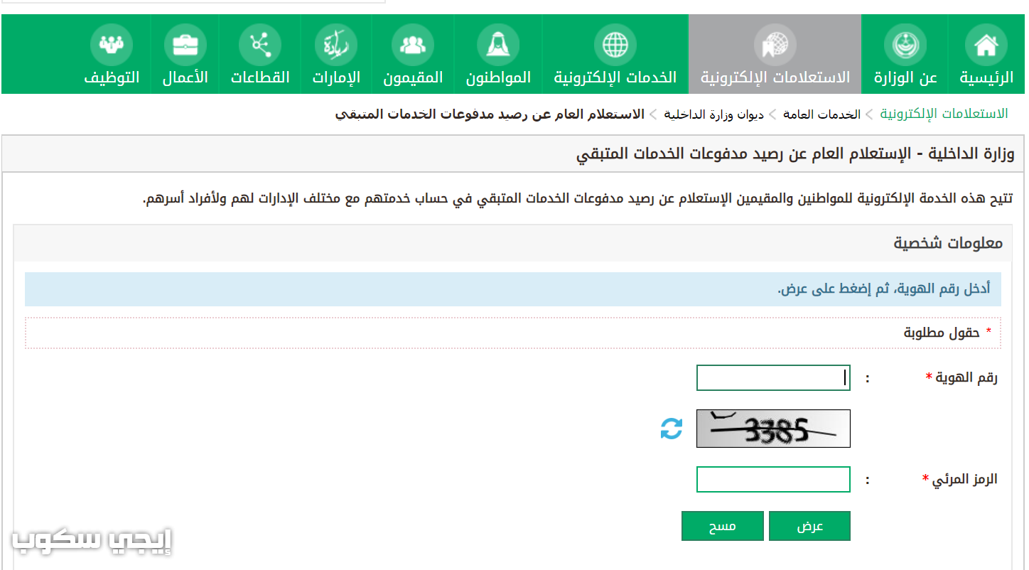 رصيدي المتبقي في الجوازات