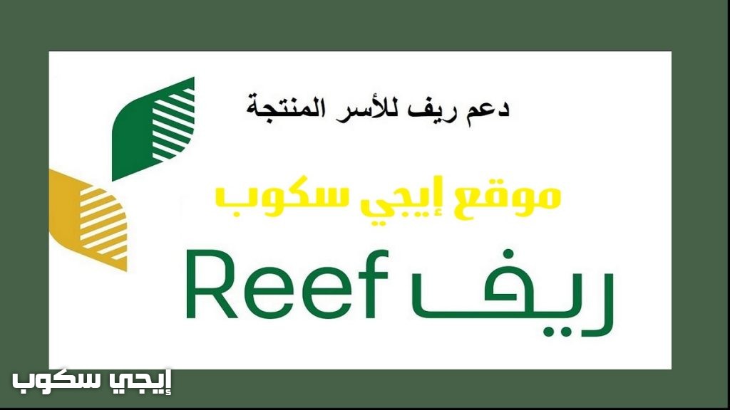 رابط التسجيل في برنامج ريف